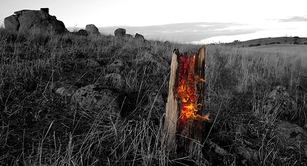 billington burning stump